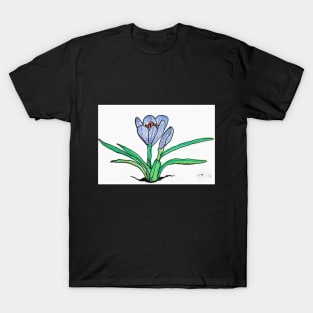 Crocus 02 T-Shirt